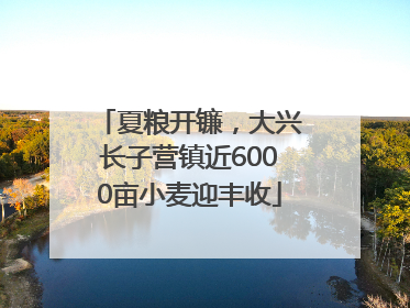 夏粮开镰，大兴长子营镇近6000亩小麦迎丰收