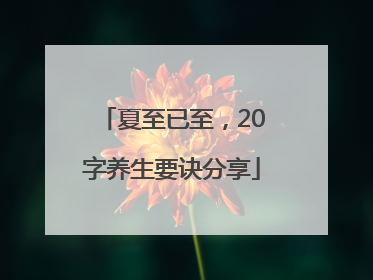 夏至已至，20字养生要诀分享