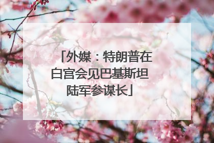 外媒：特朗普在白宫会见巴基斯坦陆军参谋长