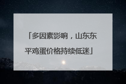多因素影响，山东东平鸡蛋价格持续低迷