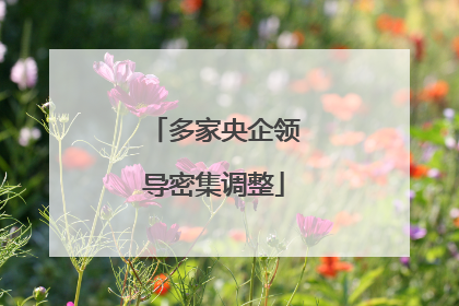 多家央企领导密集调整