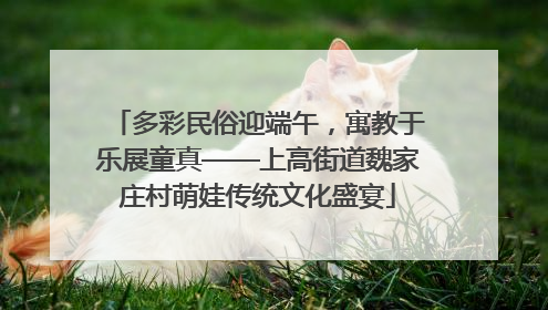 多彩民俗迎端午，寓教于乐展童真——上高街道魏家庄村萌娃传统文化盛宴