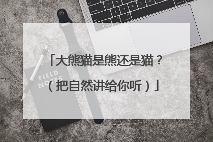 大熊猫是熊还是猫？（把自然讲给你听）