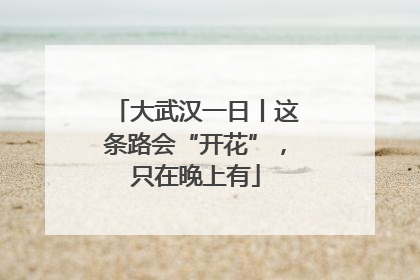 大武汉一日丨这条路会“开花”，只在晚上有