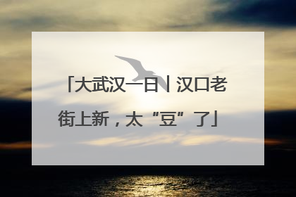 大武汉一日︱汉口老街上新，太“豆”了