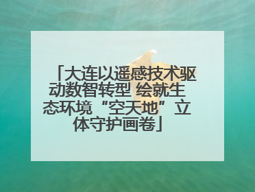 大连以遥感技术驱动数智转型 绘就生态环境“空天地”立体守护画卷