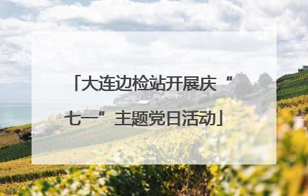 大连边检站开展庆“七一”主题党日活动