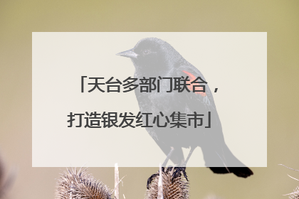 天台多部门联合，打造银发红心集市
