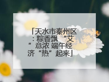 天水市秦州区：粽香飘 “艾”意浓 端午经济“热”起来