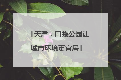 天津：口袋公园让城市环境更宜居