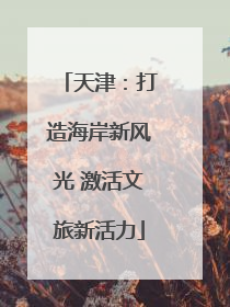 天津：打造海岸新风光 激活文旅新活力