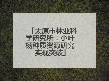 太原市林业科学研究所：小叶杨种质资源研究实现突破