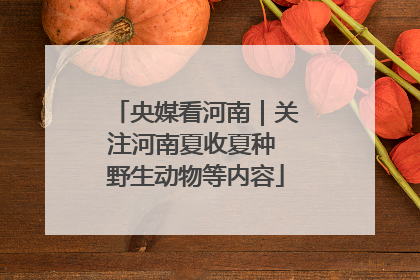 央媒看河南｜关注河南夏收夏种 野生动物等内容