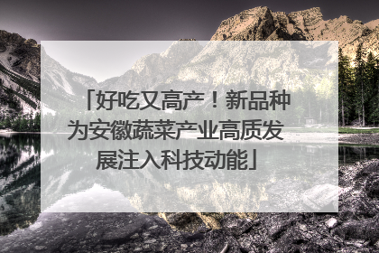 好吃又高产！新品种为安徽蔬菜产业高质发展注入科技动能