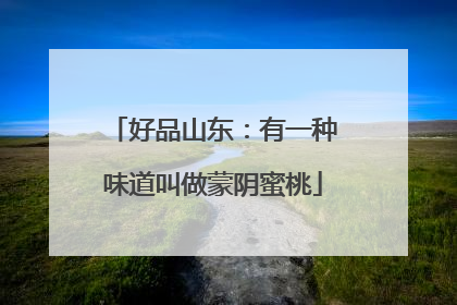 好品山东：有一种味道叫做蒙阴蜜桃