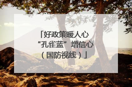 好政策暖人心 “孔雀蓝”增信心（国防视线）