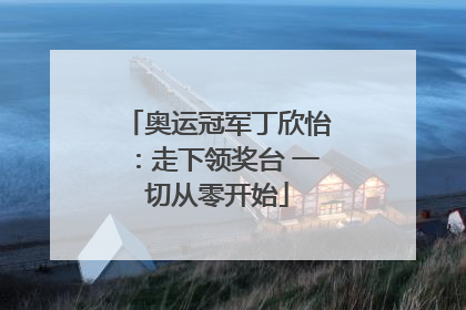 奥运冠军丁欣怡：走下领奖台 一切从零开始