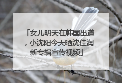 女儿明天在韩国出道，小沈阳今天晒沈佳润新专辑宣传视频
