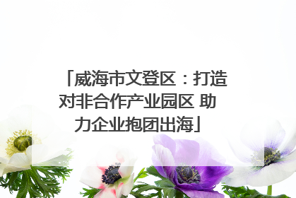 威海市文登区：打造对非合作产业园区 助力企业抱团出海