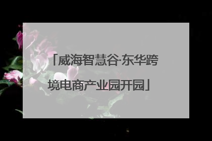 威海智慧谷·东华跨境电商产业园开园