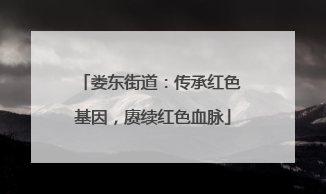 娄东街道：传承红色基因，赓续红色血脉