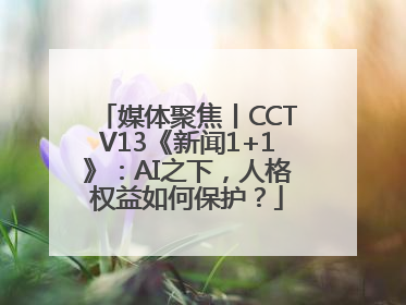 媒体聚焦丨CCTV13《新闻1+1》：AI之下，人格权益如何保护？