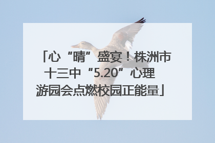 心“晴”盛宴！株洲市十三中“5.20”心理游园会点燃校园正能量