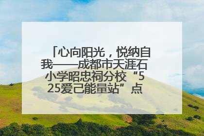 心向阳光，悦纳自我——成都市天涯石小学昭忠祠分校“525爱己能量站”点亮孩子心灵之旅
