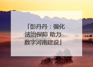彭丹丹：强化法治保障 助力数字河南建设