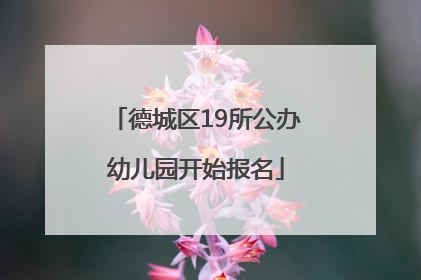 德城区19所公办幼儿园开始报名