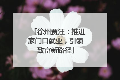 徐州贾汪：推进家门口就业，引领致富新路径