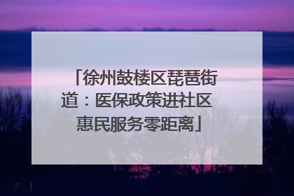 徐州鼓楼区琵琶街道：医保政策进社区 惠民服务零距离