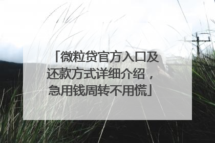 微粒贷官方入口及还款方式详细介绍，急用钱周转不用慌