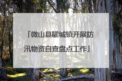 微山县驩城镇开展防汛物资自查盘点工作