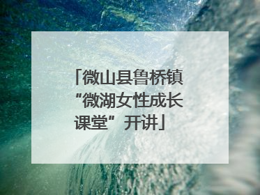微山县鲁桥镇“微湖女性成长课堂”开讲