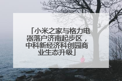 小米之家与格力电器落户济南起步区，中科新经济科创园商业生态升级