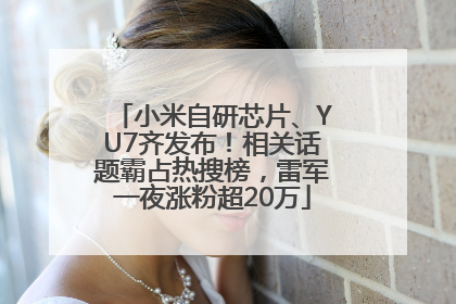 小米自研芯片、YU7齐发布！相关话题霸占热搜榜，雷军一夜涨粉超20万