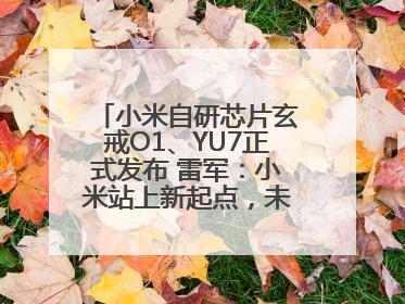 小米自研芯片玄戒O1、YU7正式发布 雷军：小米站上新起点，未来五年研发翻倍再投2000亿元