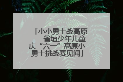 小小勇士战高原——省垣少年儿童庆“六一”高原小勇士挑战赛见闻