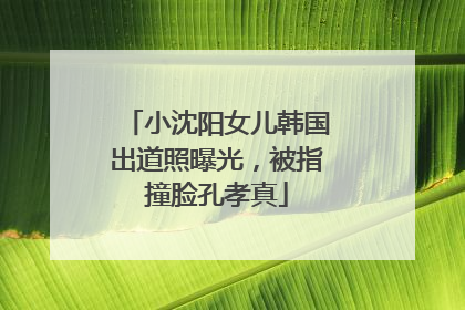 小沈阳女儿韩国出道照曝光，被指撞脸孔孝真