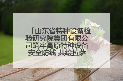 山东省特种设备检验研究院集团有限公司筑牢高原特种设备安全防线 共绘拉萨美好生活画卷