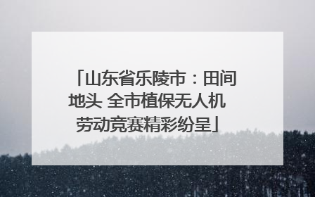山东省乐陵市：田间地头 全市植保无人机劳动竞赛精彩纷呈