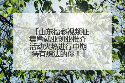 山东福彩视频征集暨就业创业推介活动火热进行中期待有想法的你！