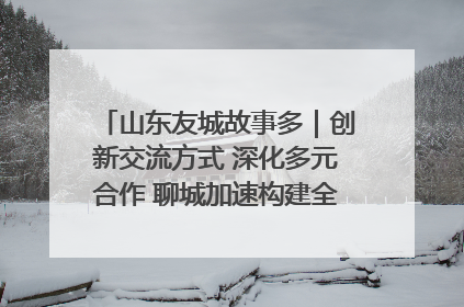 山东友城故事多｜创新交流方式 深化多元合作 聊城加速构建全球友城新格局