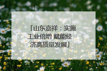 山东嘉祥：实施工业倍增 赋能经济高质量发展