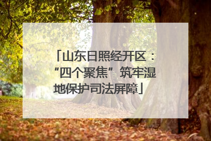 山东日照经开区：“四个聚焦”筑牢湿地保护司法屏障