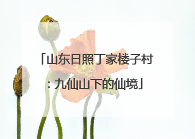 山东日照丁家楼子村：九仙山下的仙境