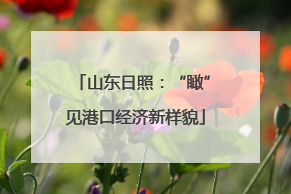 山东日照：“瞰”见港口经济新样貌