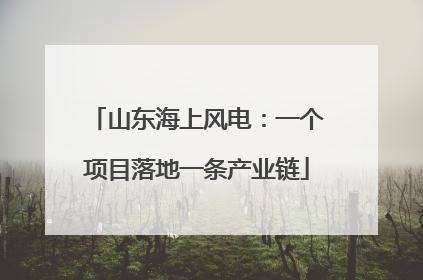 山东海上风电：一个项目落地一条产业链