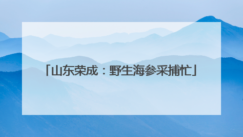 山东荣成：野生海参采捕忙